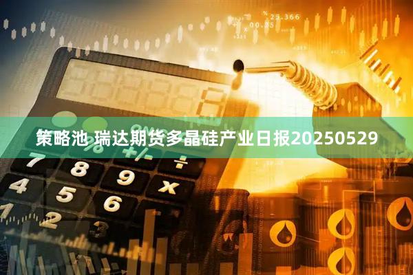 策略池 瑞达期货多晶硅产业日报20250529