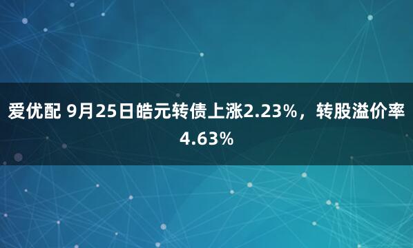爱优配 9月25日皓元转债上涨2.23%，转股溢价率4.63%