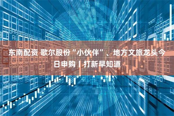 东南配资 歌尔股份“小伙伴”、地方文旅龙头今日申购丨打新早知道