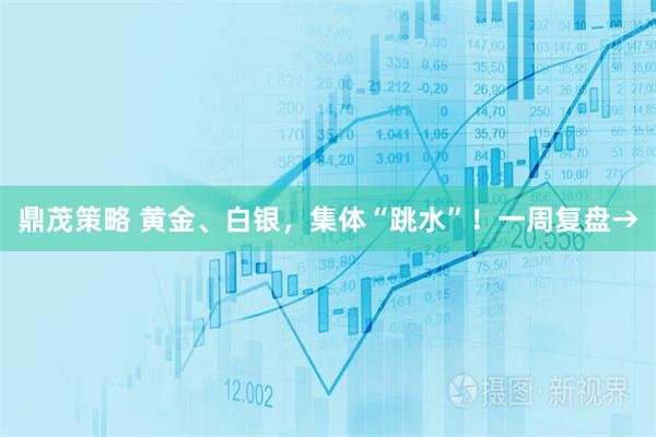 鼎茂策略 黄金、白银，集体“跳水”！一周复盘→
